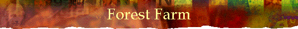 Forest Farm